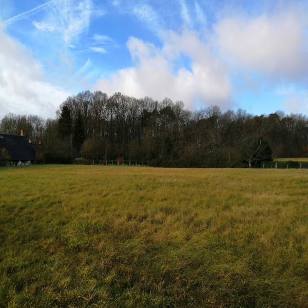 Offres de vente Terrain Saint-Aignan 41110
