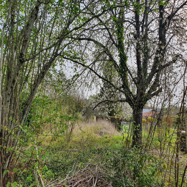 Offres de vente Terrain Saint-Aignan 41110
