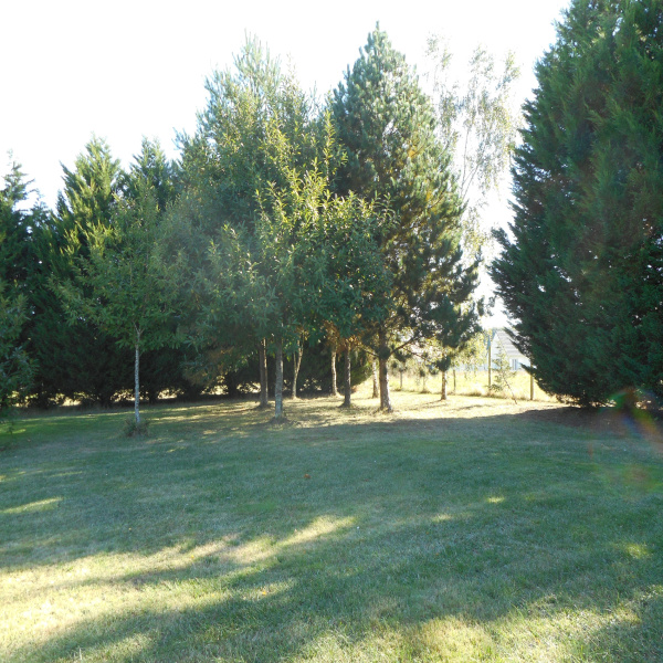 Offres de vente Terrain Feings 41120