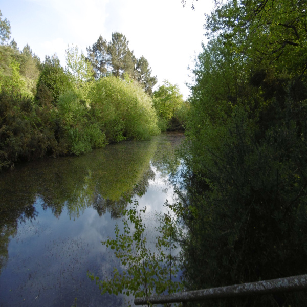 Offres de vente Terrain Saint-Aignan 41110