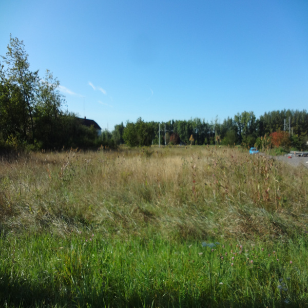 Offres de vente Terrain Thésée 41140