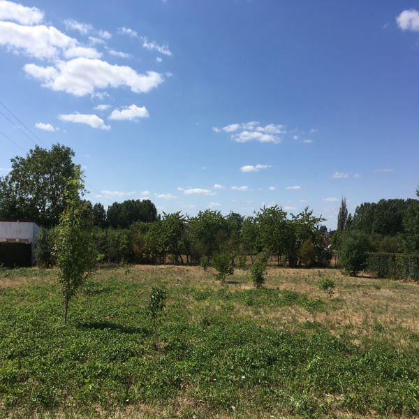 Offres de vente Terrain Contres 41700